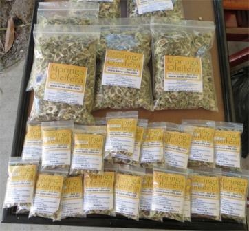 Organic Moringa Seeds
