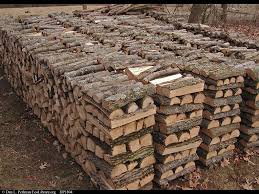 Timber Logs