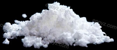 Nitrocellulose Chips