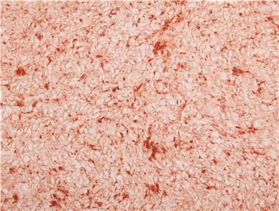 Exterial External Interior Decoration Wall Oriental Coating