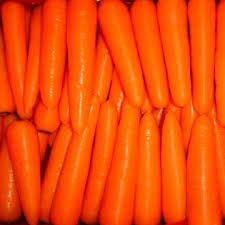 Fresh Carrot