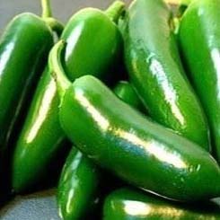 Fresh Green Chili