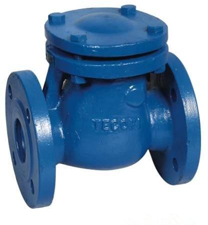 Swing Check Valve