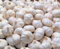 Fresh garlic, Feature : Moisture Proof, Gluten Free