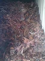 Copper scrap, Magnetic : Non-magnetic