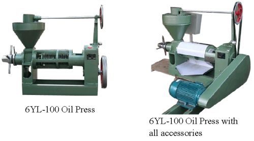 Screw Oil Press Machine