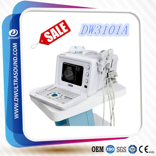 Digital Ultrasound Scanner