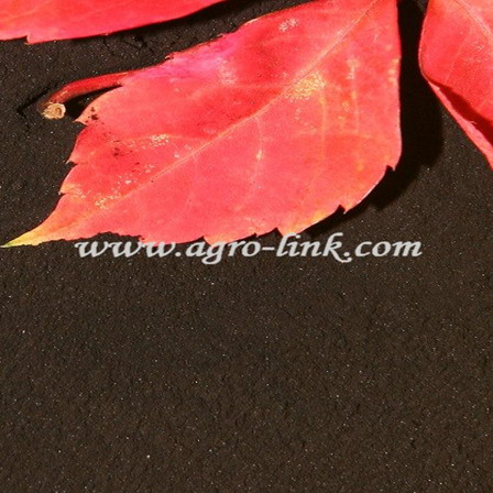 Potassium Humate Fertilizer