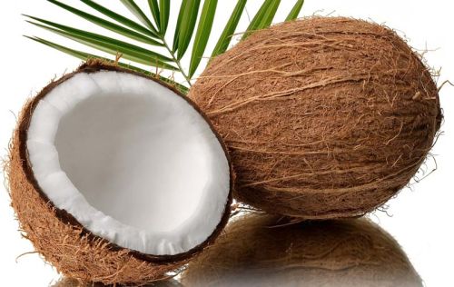 Soft Natural Fresh Coconut, For Cosmetics, Medicines, Feature : Freshness, Good Taste