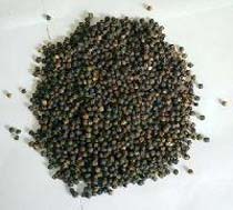 Black Pepper Powder