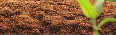 Coco Peat Products