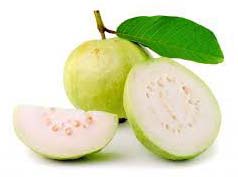 Guava