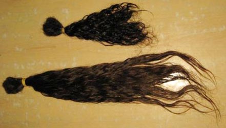 Unwashed Virgin Remy Hair, For Parlour, Personal, Style : Straight