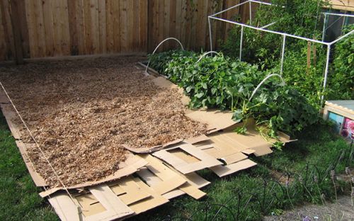 Mulch Sheet