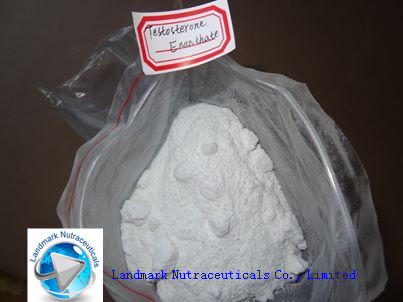 Trenbolone Enanthate