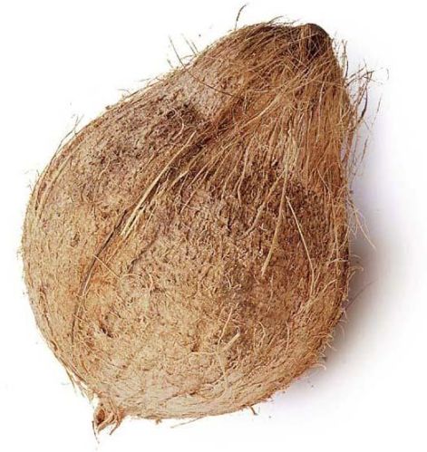 Semi Husked Coconut