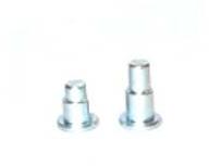 Stainless Steel Rivets