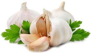 Fresh garlic, Storage : Cool, Dry Place