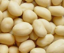 Indian Blanched Peanuts Kernels