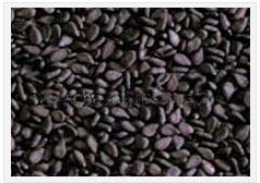 Indian Natural Sesame Seeds Black