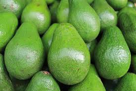 Fresh Avocados, Packaging Type : boxes