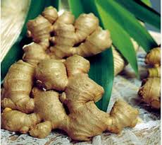 Fresh ginger, Shelf Life :1-2 Weeks
