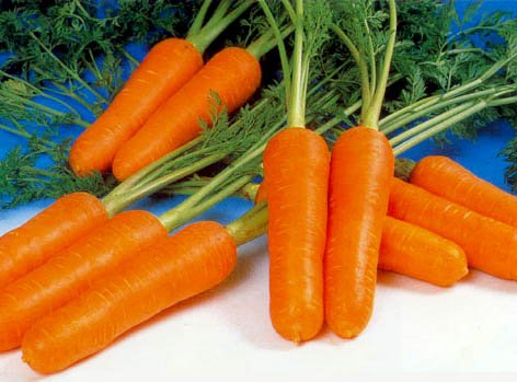 Beta-carotene / Carrot Extract