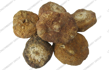 Maca Extract