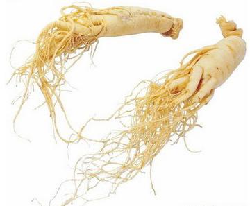Panax Ginseng Extract