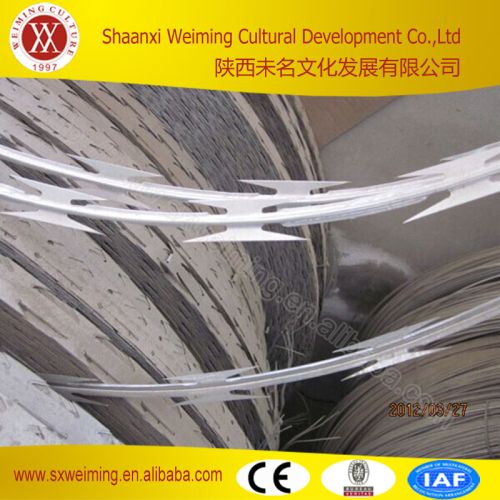 Galvanized High Security Razor Wire Fence 2.5mm, Length : 10m