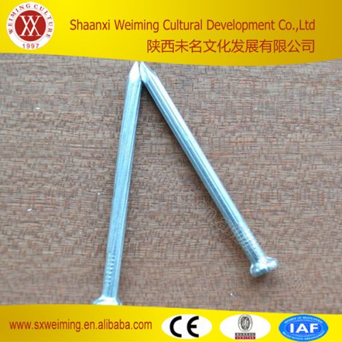 Spiral Galvanized Steel Concrete Nails