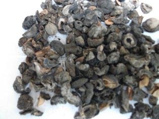 Dry Amla, Extraction Type : Wildly Sourced