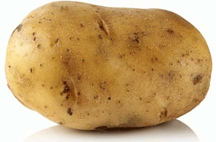 Fresh potato, Packaging Size : 5-25kg