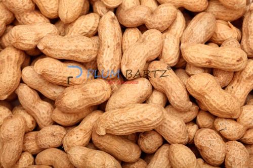 Natural Shelled Peanuts, For Making Flour, Making Oil, Making Snacks, Packaging Size : 1-5kg, 10-15kg