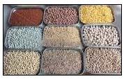 Pulses, Drying Process : Sun Dried