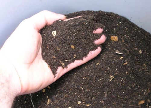 Vermicompost