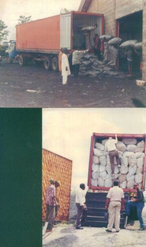 Charcoal, Packaging Size : 10 kg