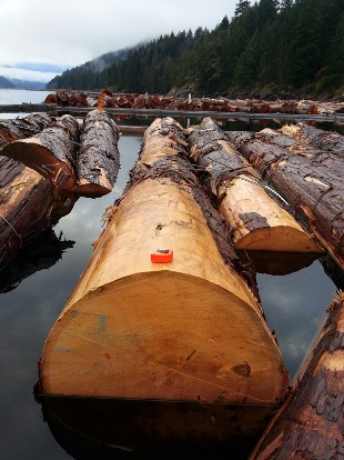 Woods and Accessories