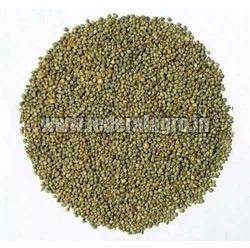 Organic Common B Grade Millet Seeds, For Cattle Feed, Style : Dried