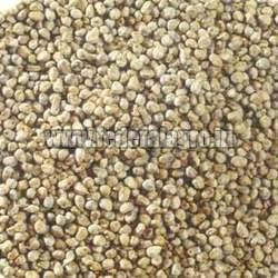 Organic C Grade Millet Seeds, For Cattle Feed, Packaging Size : 25kg, 50kg