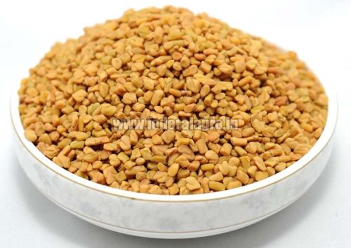 Organic Fenugreek Seeds, Shelf Life : 1year