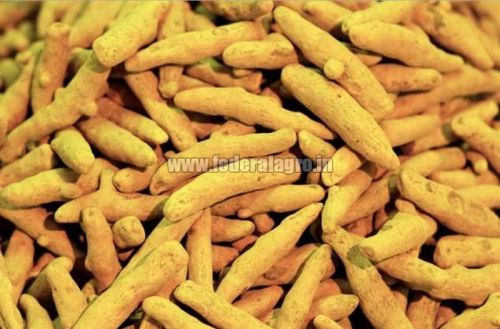 Organic Turmeric Finger, For Ayurvedic Products, Cooking, Packaging Size : 100gm, 10kg