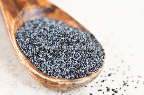 Organic Poppy Seeds, Shelf Life : 0-2yrs