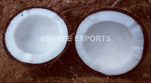 Semi Husked Coconut