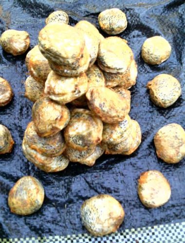 Pumpkin Seed, Shape : circel, Packaging Type : Gold