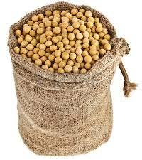 Soybean Seeds