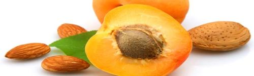 Apricot Kernels