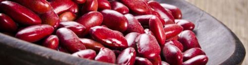 Kidney beans, Drying Process : Sun Dried