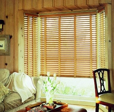 Window Shutters