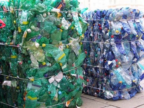 PET Bottles Scrap